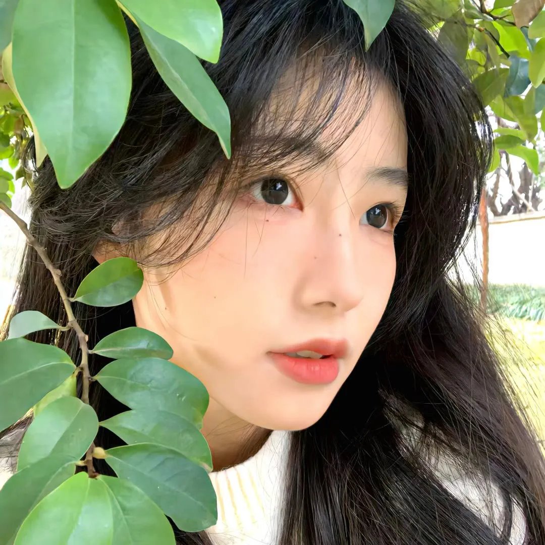 黄阿丽:单身女士
